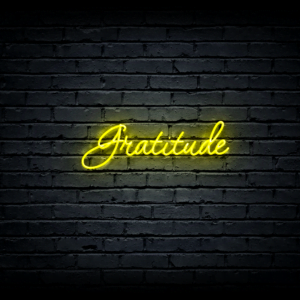 Led neon sign “Gratitude”