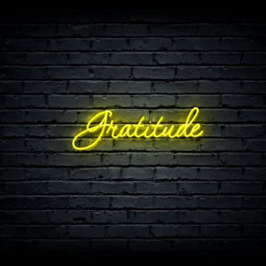 Led neono iškaba „Gratitude”