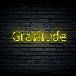 Led neon sign “Gratitude”
