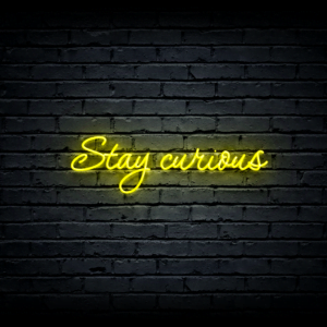 Led neono iškaba „Stay curious”