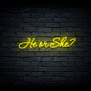 Led neono iškaba „He or She?”