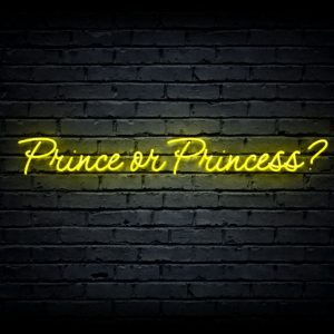 Led neon sign “Prince or Princess?”