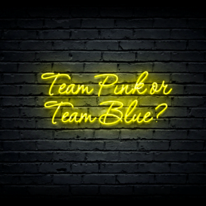 Led neon sign “Team Pink or Team Blue?”