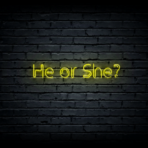 Led neono iškaba „He or She?”