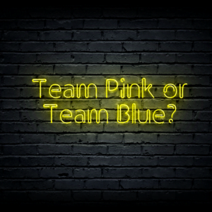 Led neon sign “Team Pink or Team Blue?”